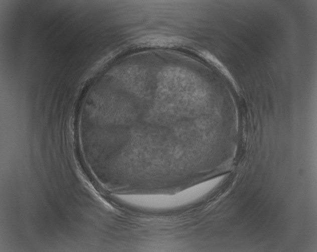 X0000082990581200702230102