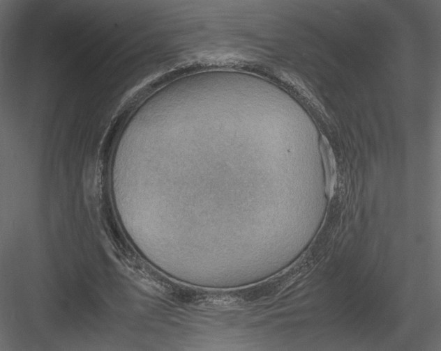 X0000082990583200702230102