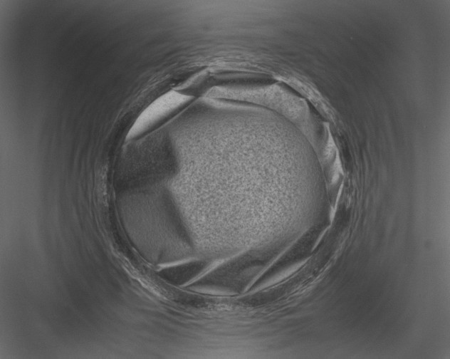 X0000082990585200702230102