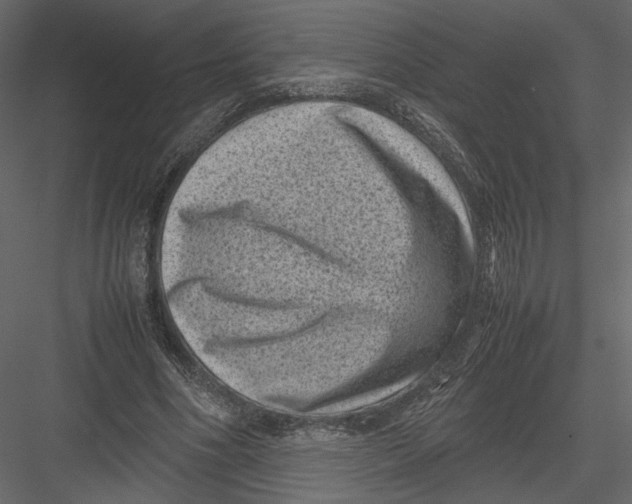 X0000082990586200702230102