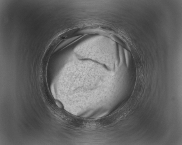 X0000082990587200702230102