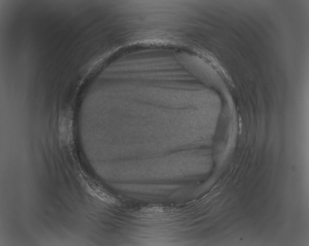 X0000082990588200702230102