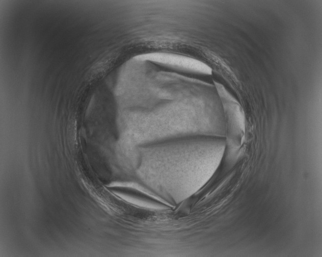 X0000082990589200702230102