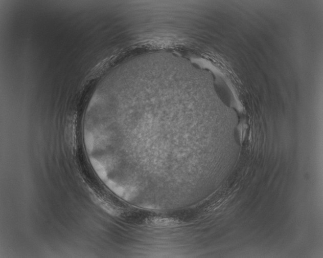 X0000082990590200702230102