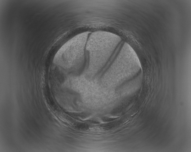 X0000082990591200702230102