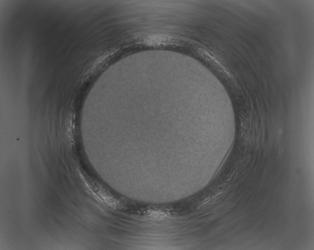 X0000082990592200702230102