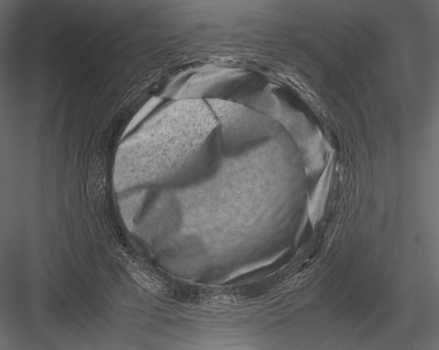 X0000082990593200702230102