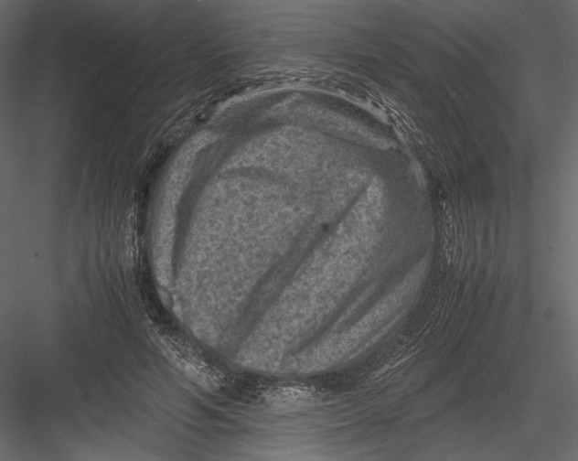 X0000082990594200702230102