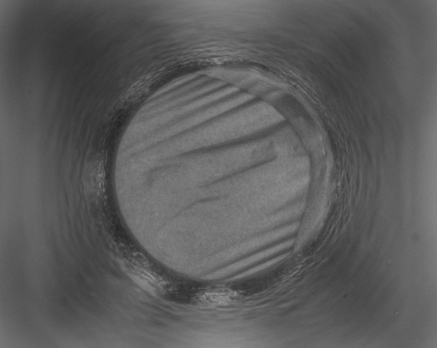 X0000082990595200702230102