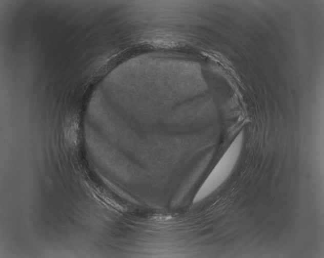 X0000082990596200702230102