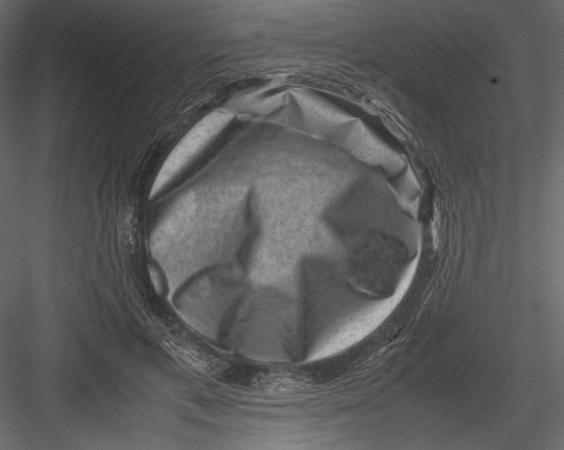 X0000082990597200702230102