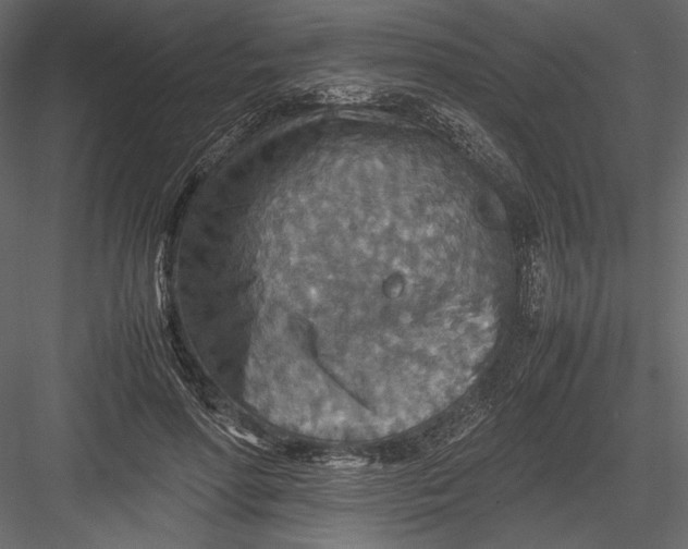 X0000082990598200702230102