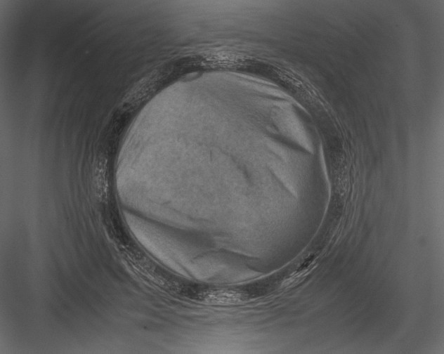 X0000082990599200702230102