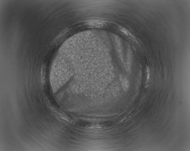 X0000082990600200702230102