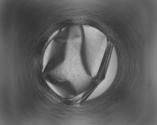 X0000082990601200702230102