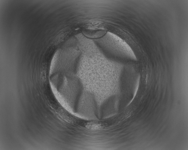 X0000082990602200702230102