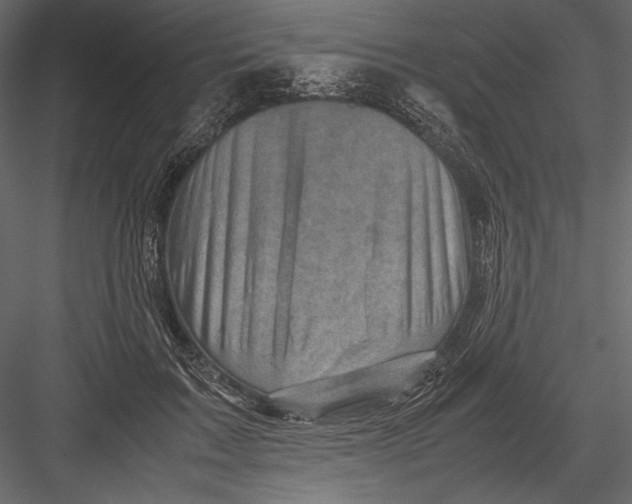 X0000082990603200702230102