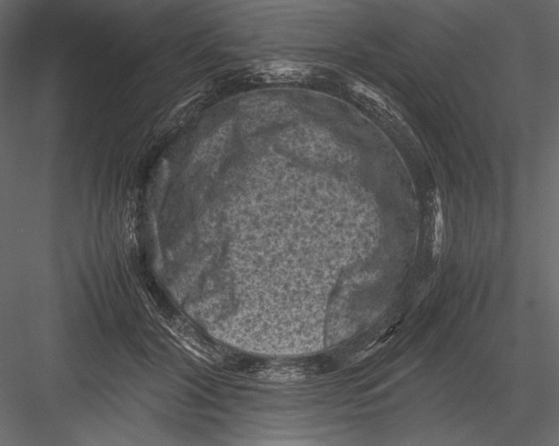 X0000082990604200702230102