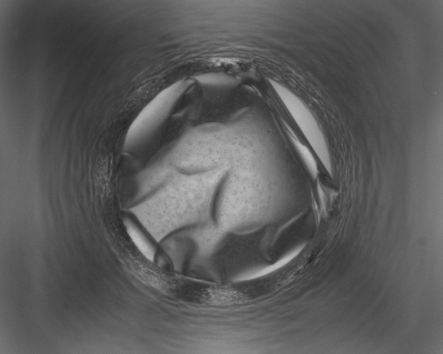 X0000082990605200702230102