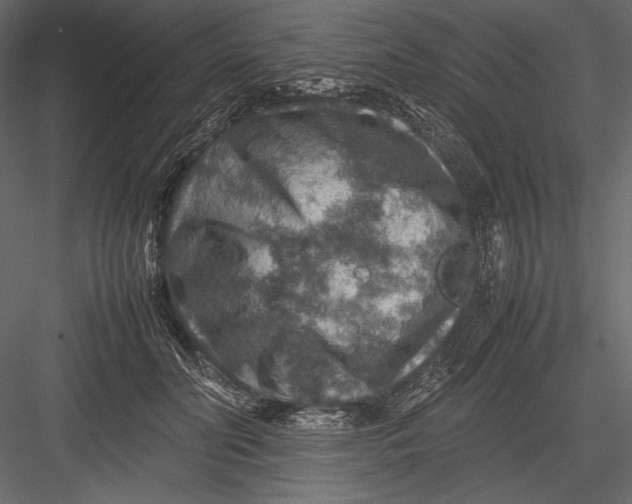 X0000082990606200702230102