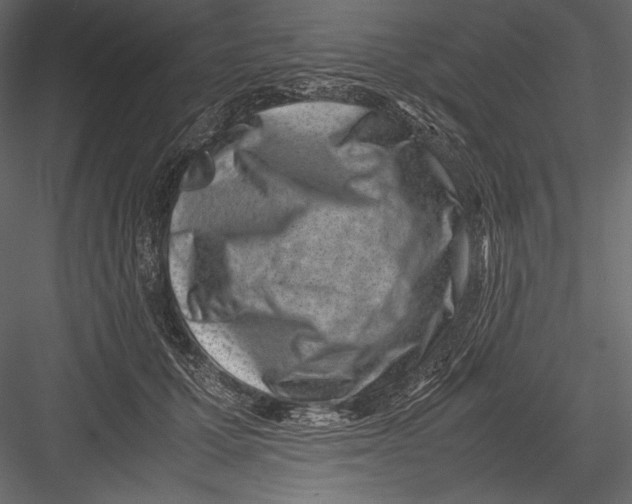 X0000082990607200702230102