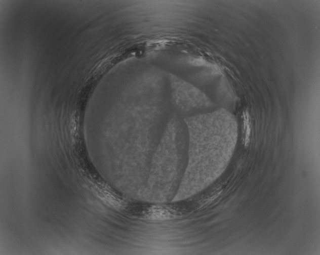 X0000082990608200702230102