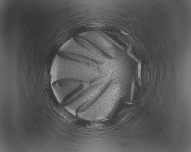 X0000082990609200702230102