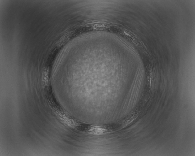 X0000082990610200702230102