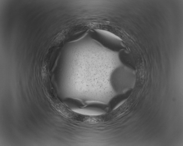 X0000082990611200702230102