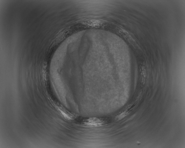 X0000082990612200702230102