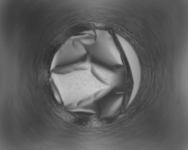 X0000082990613200702230102