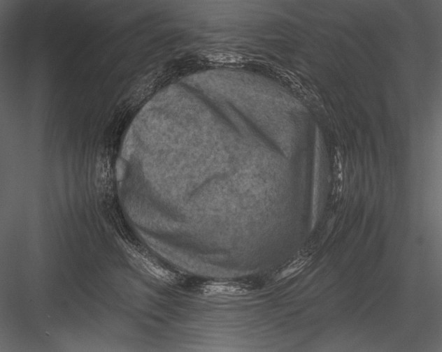 X0000082990614200702230102