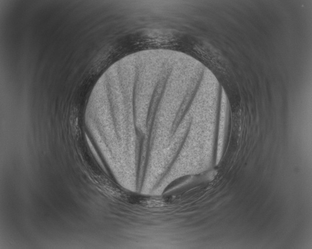 X0000082990615200702230102