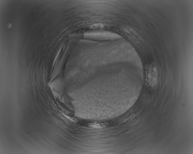 X0000082990616200702230102