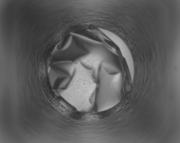 X0000082990617200702230102