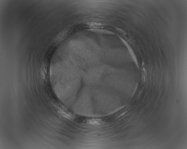 X0000082990618200702230102