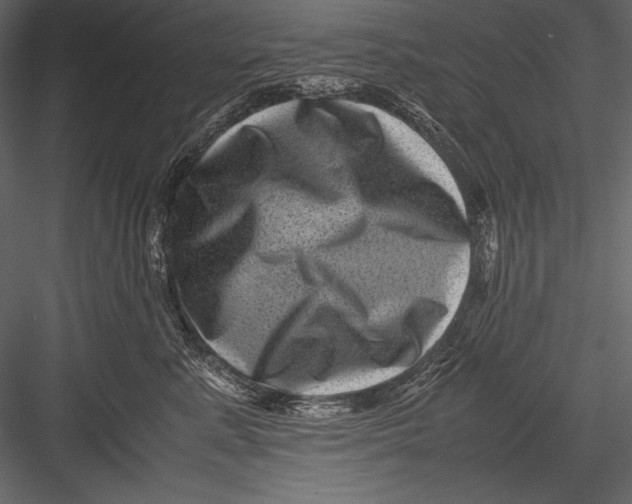 X0000082990619200702230102