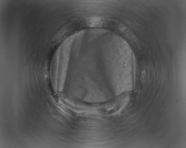 X0000082990620200702230102