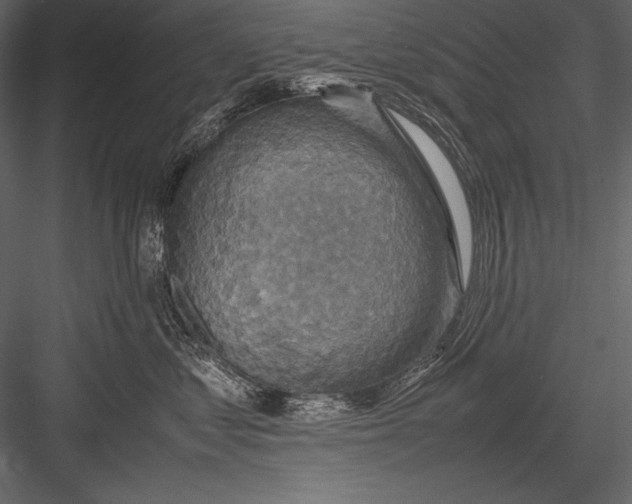 X0000082990621200702230101