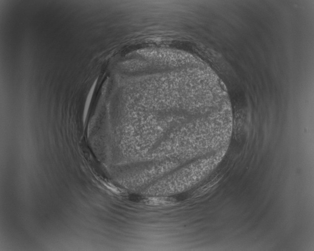 X0000082990623200702230101