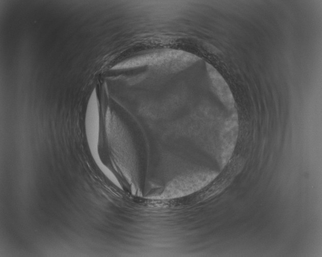 X0000082990624200702230101