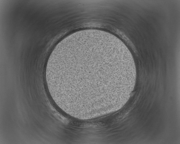 X0000082990625200702230101