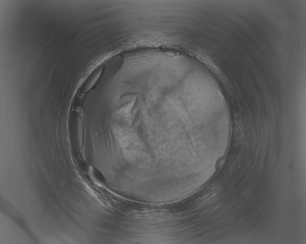 X0000082990626200702230101