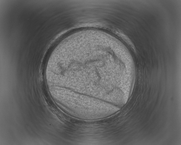 X0000082990628200702230101