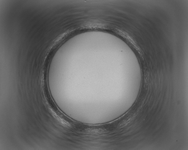 X0000082990629200702230101