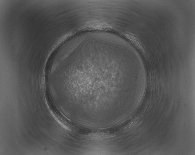 X0000082990630200702230101