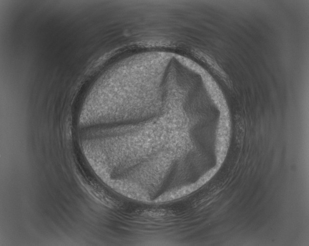 X0000082990631200702230101