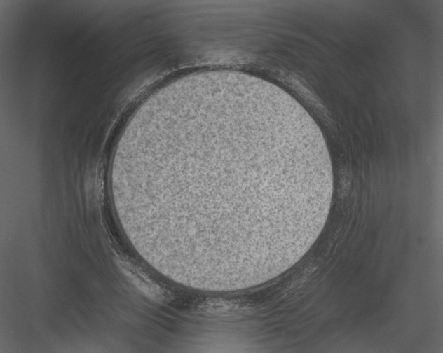 X0000082990632200702230101