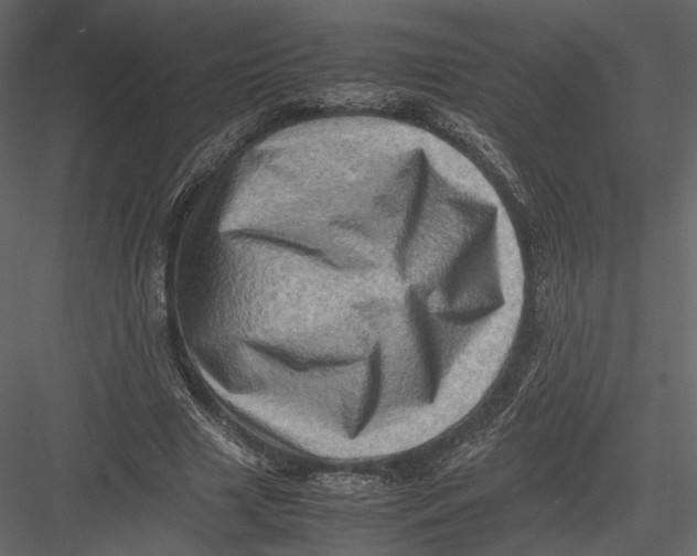 X0000082990633200702230101