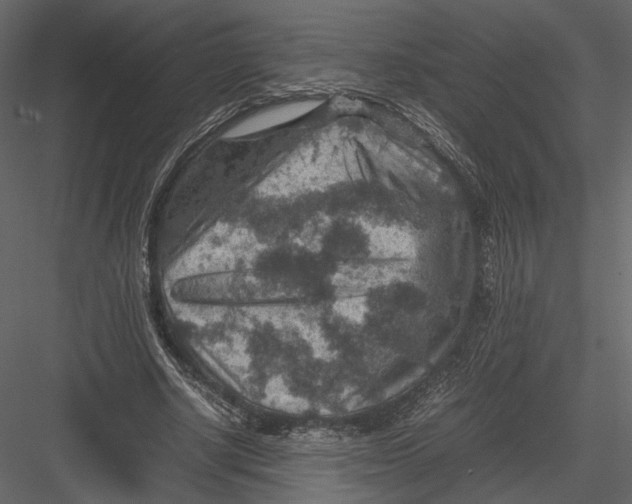 X0000082990634200702230101